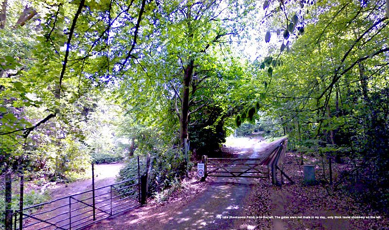 Gate to Roffey park near Rookfiled Pond closed (2002)